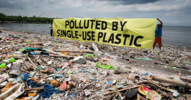 Global plastic pollution crisis